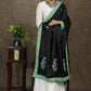 Beautiful black dupatta with elegant green embroidery and Ikkat border